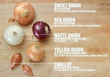 What Can I Substitute for Spanish Onion?