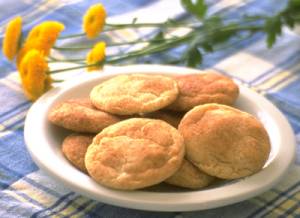 http://www.dvo.com/Products/snickerdoodle-w-flower-med.jpg