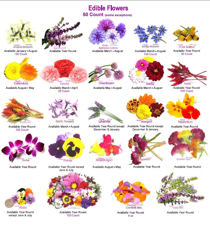 Edible Flower Information on Pinterest | Edible Flowers, Charts and Flower