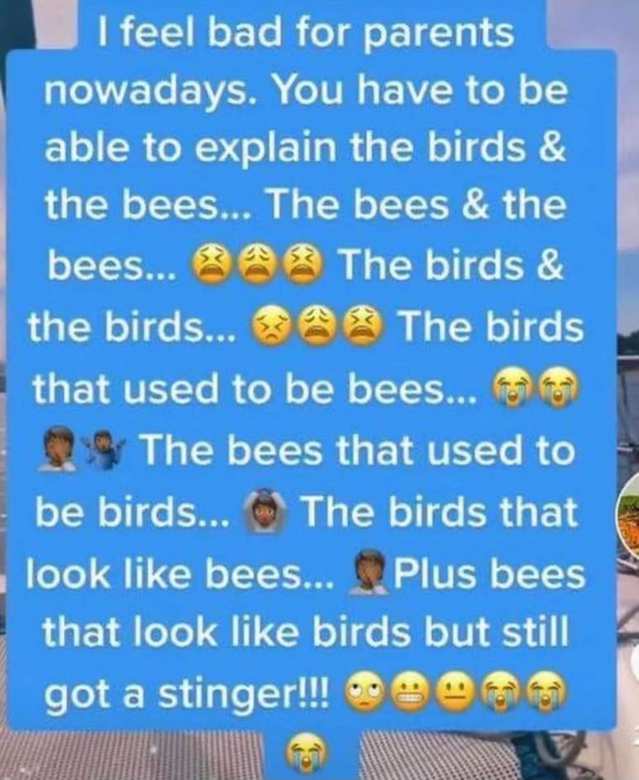 birds-and-the-bees